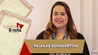 Explica Direito Filiação Socioafetiva  2019 [upl. by Goodrow]