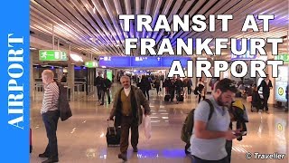 TRANSIT WALK AT FRANKFURT Airport FRA Terminal 1  Connection Flight Transfer Arriving amp Departing [upl. by Eiderf]